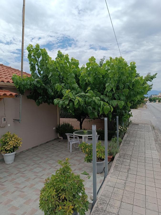 איגיו Chrysa'S House Apartment מראה חיצוני תמונה