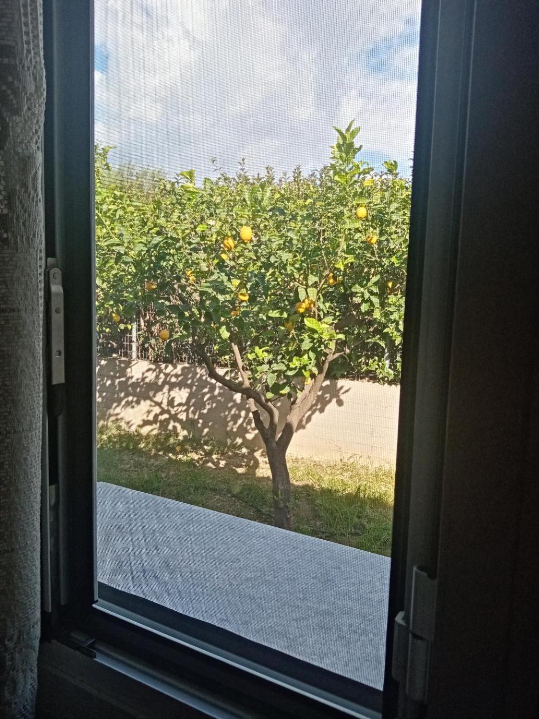 איגיו Chrysa'S House Apartment מראה חיצוני תמונה